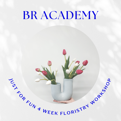BR ACADEMY - Just for FUN 4 week workshop