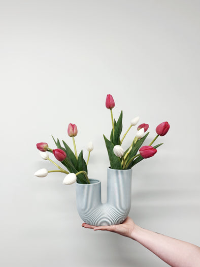 Mixed coloured Tulips
