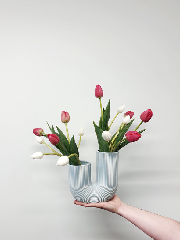 Mixed coloured Tulips